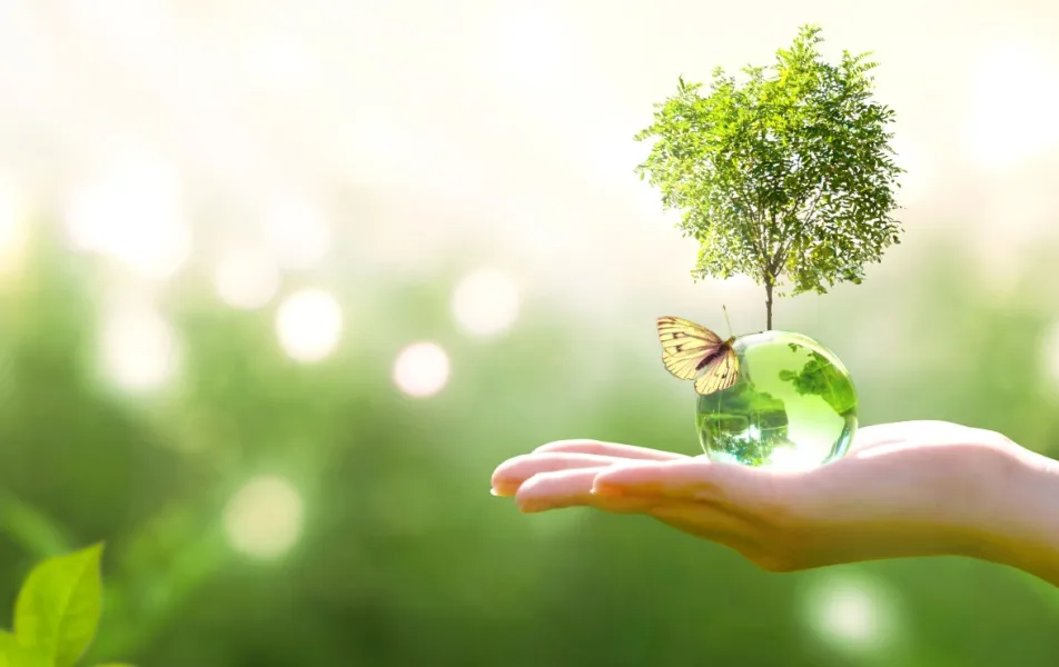 Social and Environmental